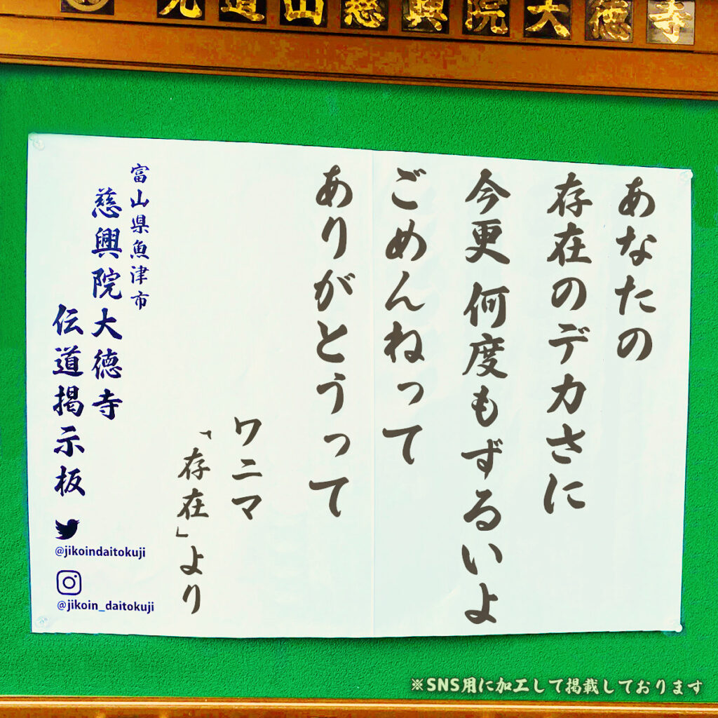 2025年8月の掲示板
