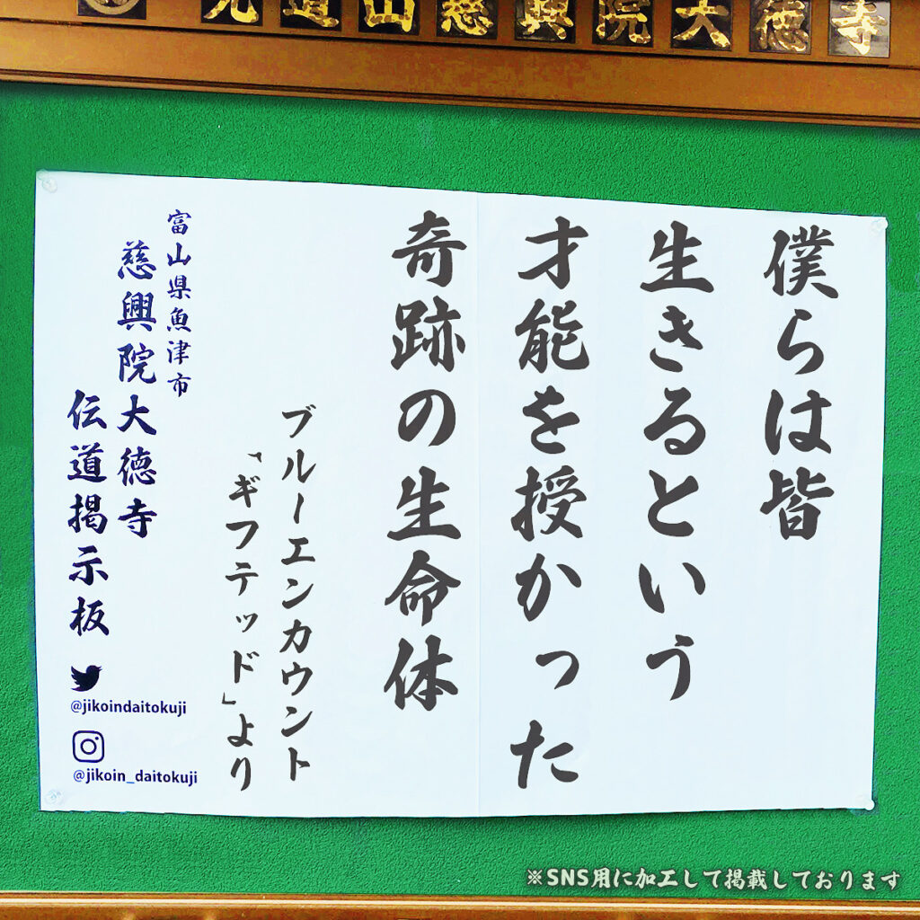 2025年9月の掲示板
