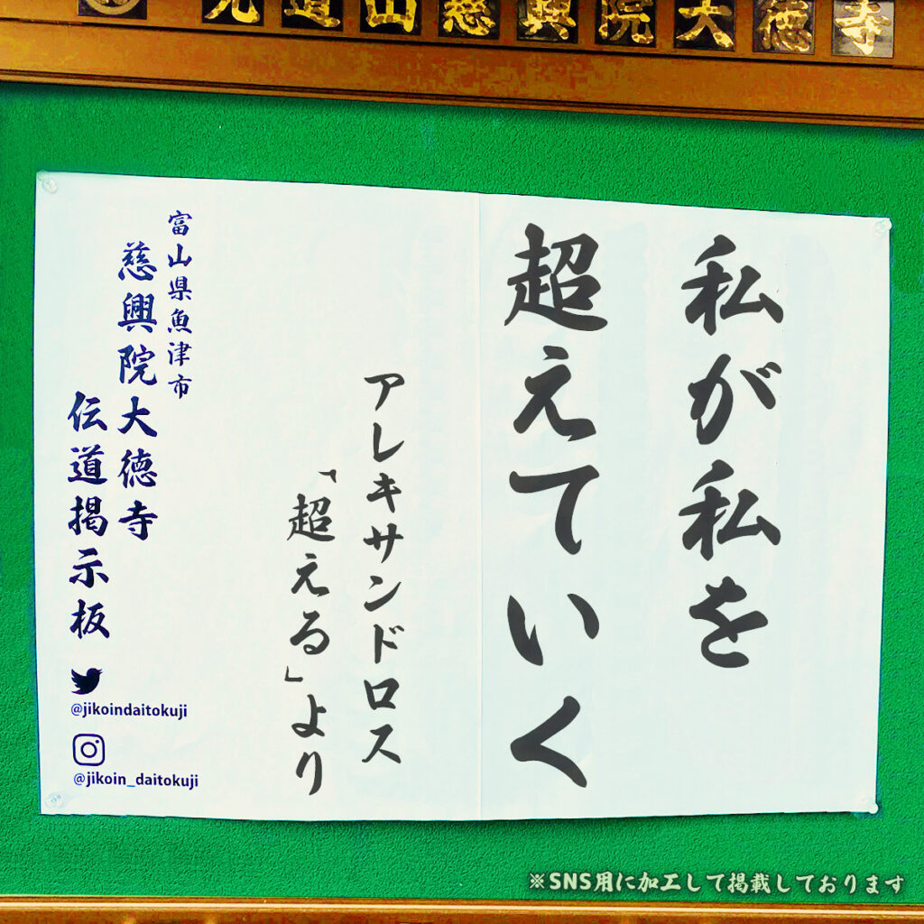 2025年11月の掲示板