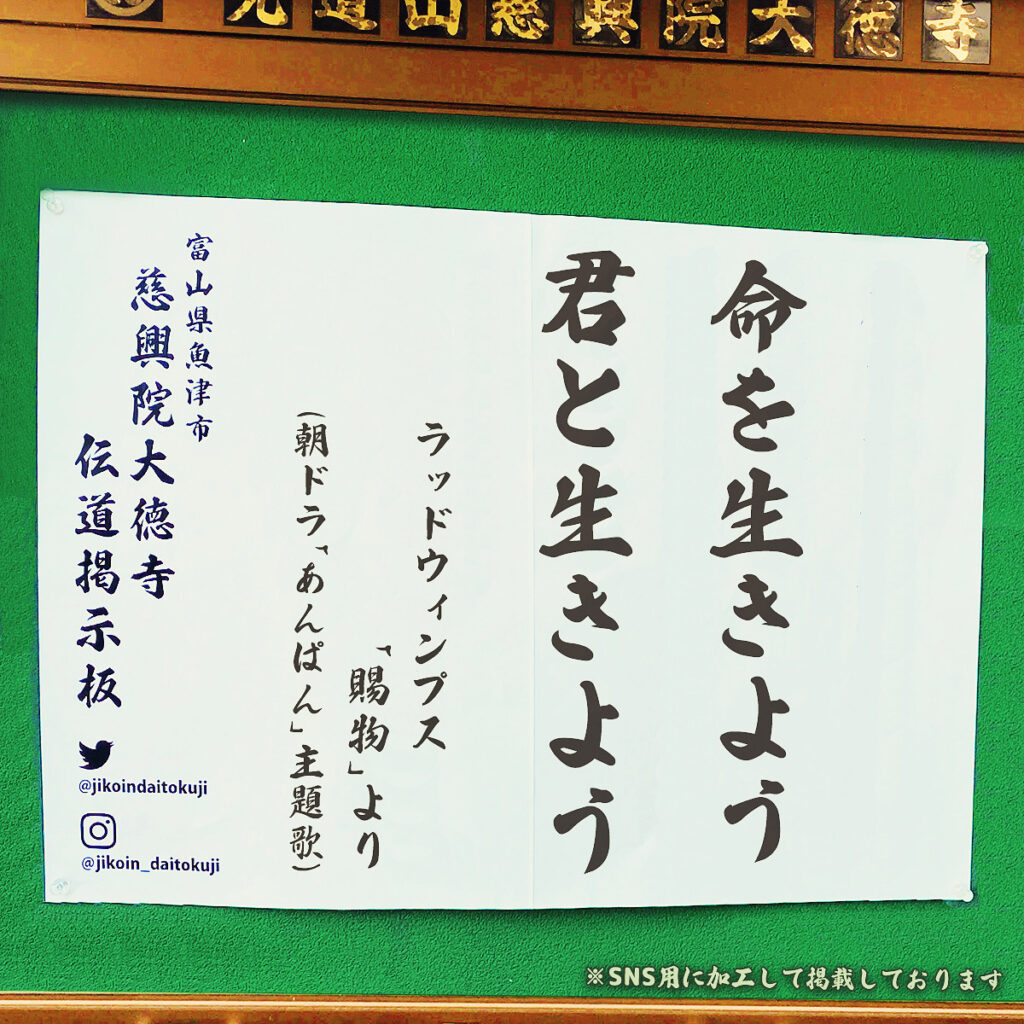 2025年10月の掲示板