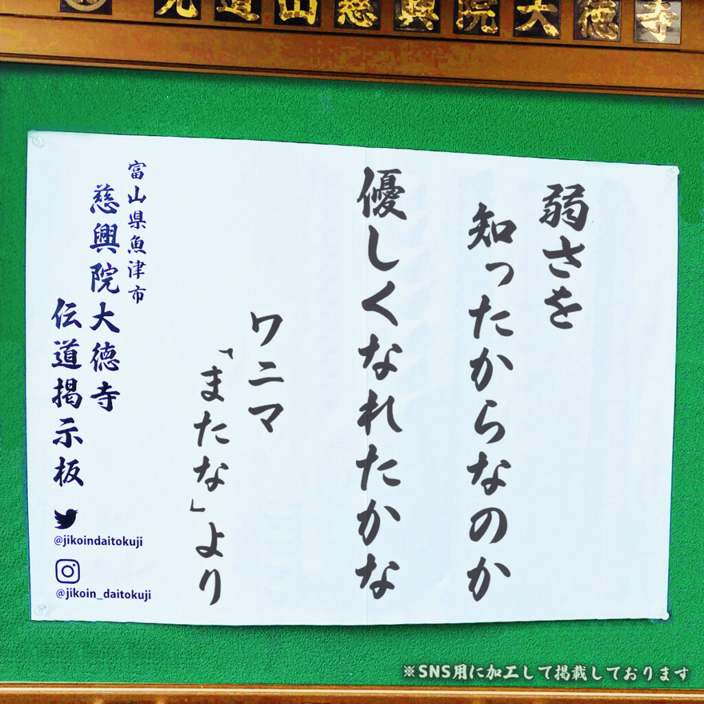 2026年8月の掲示板