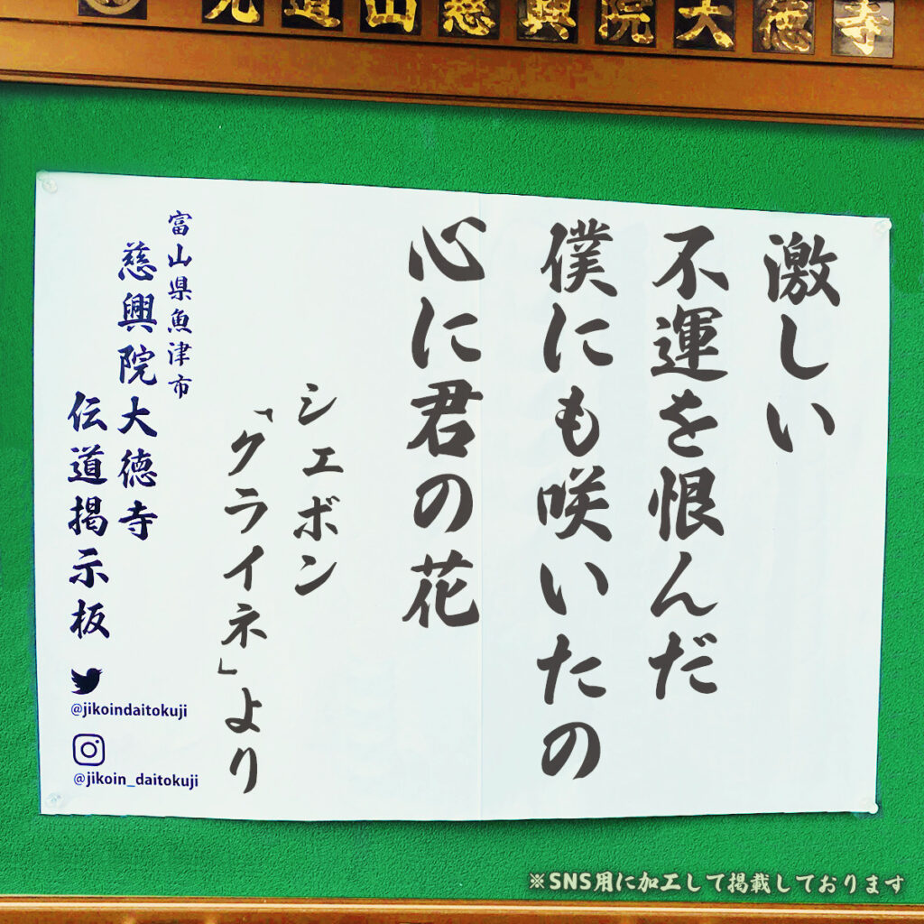 2026年10月の掲示板